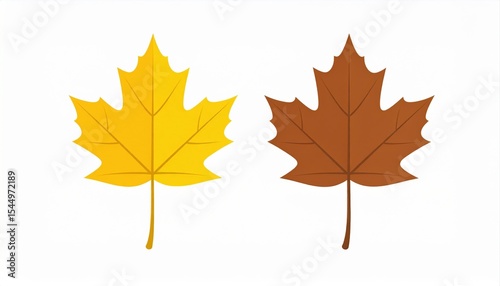 Two autumn leaves, one yellow and one brown, on a white background.