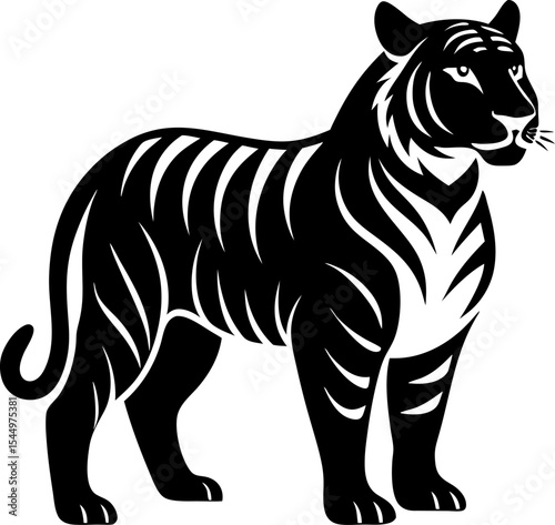 tiger vector illustration