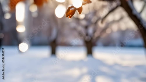 Frozen tree branch with icicles and snow during the winter season after an ice storm, with dried buds and blurry backdrop.