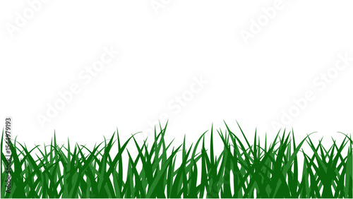 Transparent background dark green grass border, ideal for naturalistic and outdoor designs.
