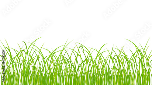 Transparent background stylized green grass border, ideal for fresh and nature-themed graphics.
