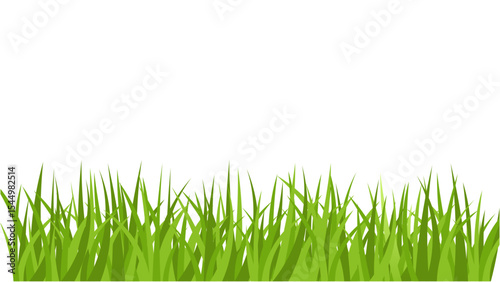 Transparent background lush green grass border, perfect for nature-themed designs and spring layouts.
