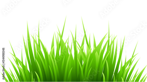 Transparent background vibrant green grass border, perfect for nature-themed designs and spring illustrations.
