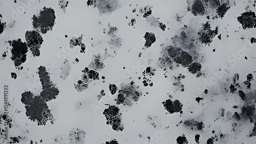 Abstract ink blotches and textured splatters in grayscale for modern design elements