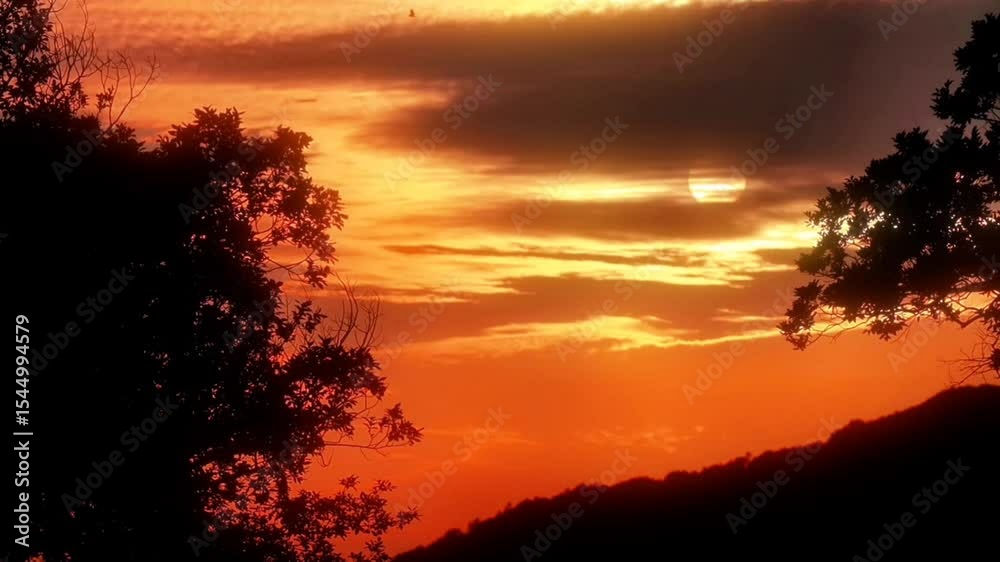 Vibrant orange and red sunset with clouds, viewed through silhouetted trees over dark rolling hills. Dramatic, fiery, and atmospheric evening landscape. Vibrant orange and red sunset with clouds, viewed through silhouetted trees over dark rolling hills. Dramatic, fiery, and atmospheric evening landscape.