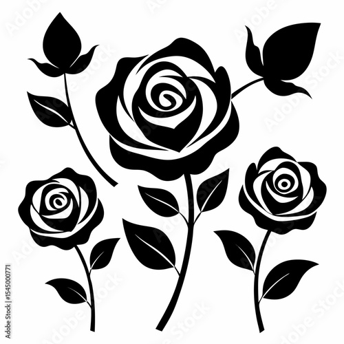 Black and white rose