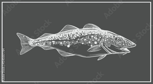 Hand drawn illustration or sketch of cod fish chalkboard art style for use in cod fish products.