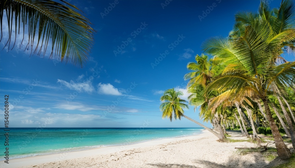 Fototapeta premium tropical beach with palm trees oyster