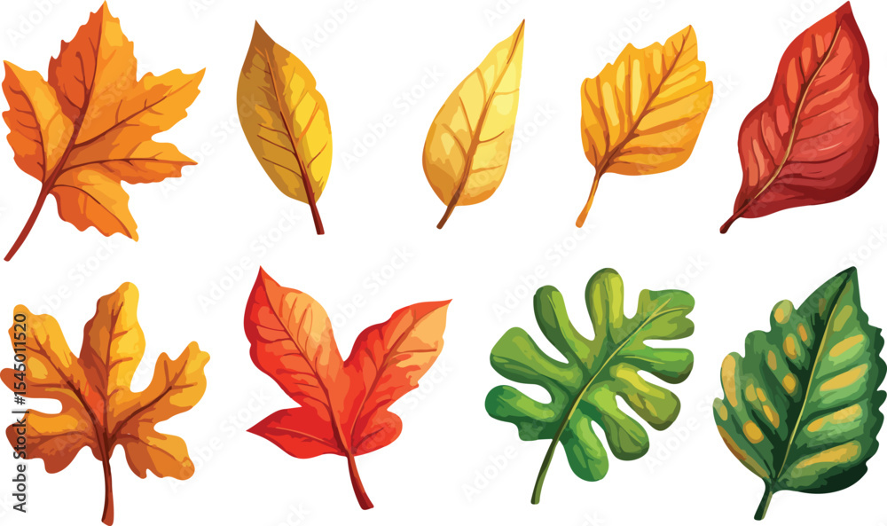 Obraz premium Collection of Colorful Autumn Leaves Featuring Various Shapes and Shades of Orange Yellow Red and Green Isolated on a White Background Perfect for Seasonal Designs
