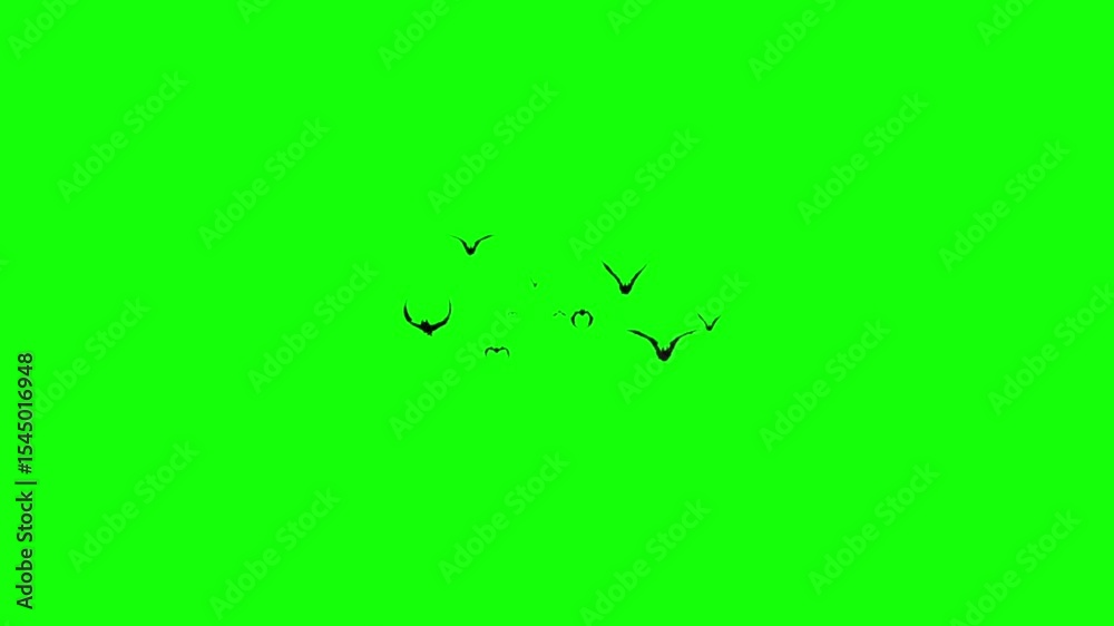 A spooky 2D animation 4K stock footage bats flying green screen Halloween transition key color chroma key elements