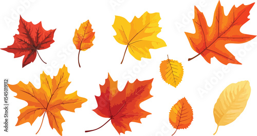 Collection of Colorful Autumn Leaves on White Background Featuring Maple Oak and Other Varieties in Shades of Red Orange and Yellow Perfect for Fall Designs