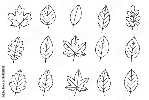 Autumn leaves doodle style. Set of hand drawn autumn forest leaves. Fall season design elements, clip art.