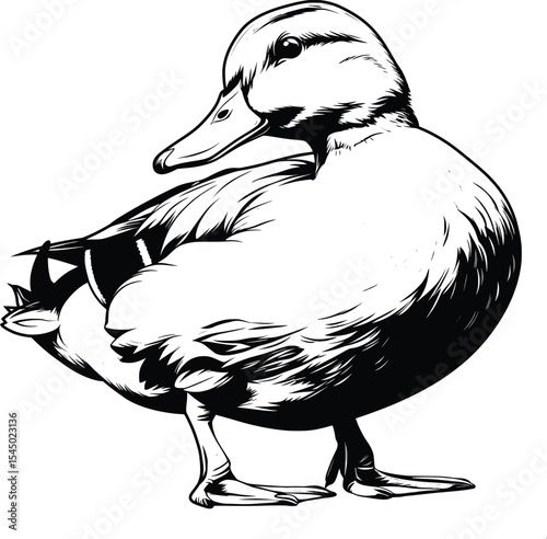 Duck Standing Profile View Black White Line Art Waterfowl