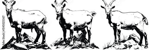 Goats on Rocks Group Climbing Black White Line Art