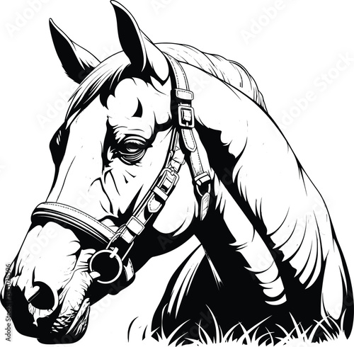 Horse Head Profile Detailed Expression Black White Line Art