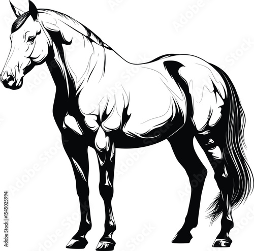 Standing Horse Profile Black White Line Art