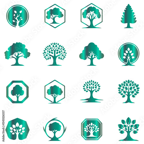 set of artistic vector rendering of a tree specimen, a classic botanical design element