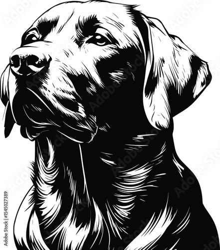 Detailed Dog Head Profile Portrait Black White Line Art Anatomical