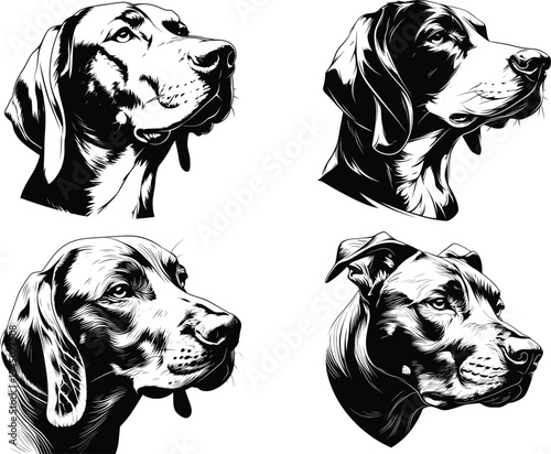 Diverse Canine Breed Head Collection Black White Line Art Set