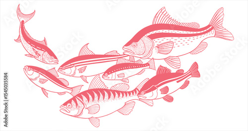 Monochromatic Salmon Fish Variety in Artistic Pink Outline Composition against White Background Displaying Marine Wildlife and Diverse Aquatic Species