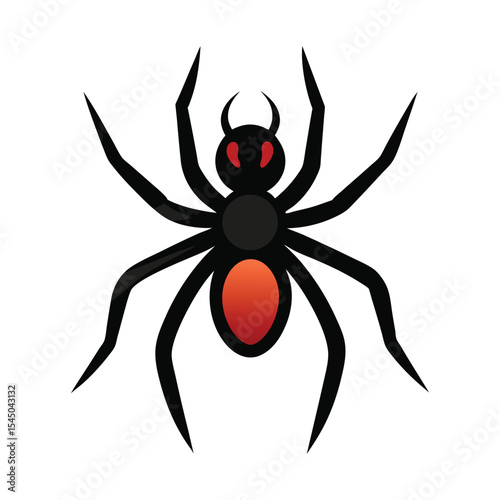 vector illustration of a spider