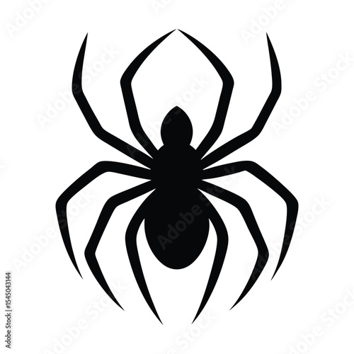 spider on a white background