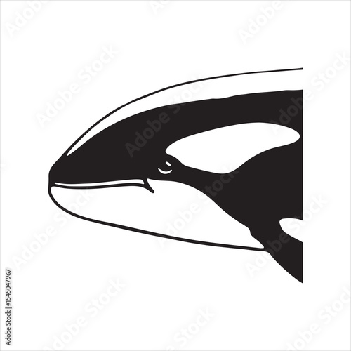 Orca (Killer Whale) – Intelligent Black and White Sea Mammal of the Deep