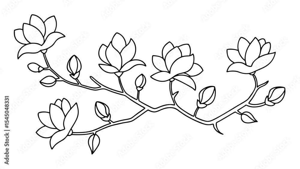 Fototapeta premium Magnolia flower, magnolia tree branch line art