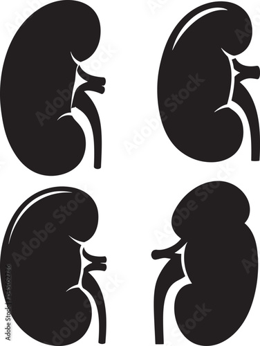 Kidney logo silhouette icon design vector art illustration