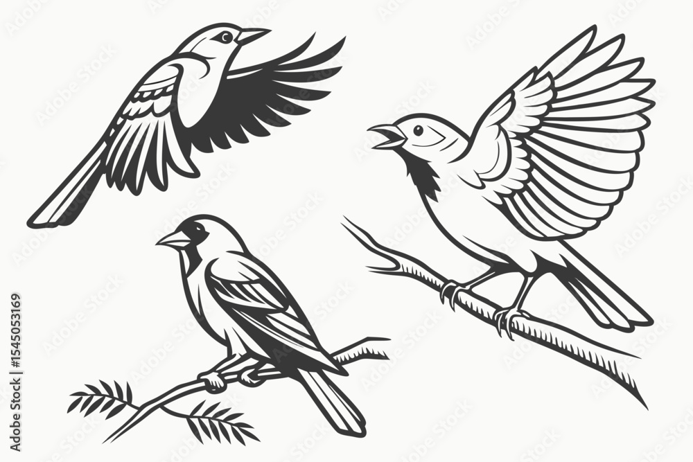 Fototapeta premium set of birds