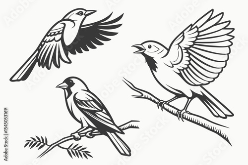 set of birds