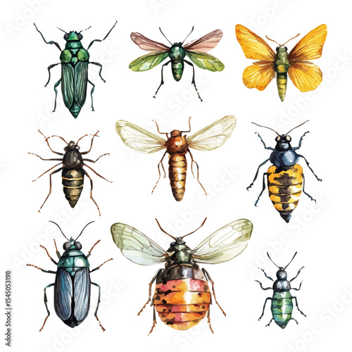 Insects Waking Sunlit Floor, watercolor drawing vector, isolated on a white background.