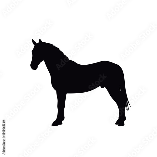 A black silhouette of a horse stands against a white background for use in equine themed logos, equestrian print ads, and educational materials.