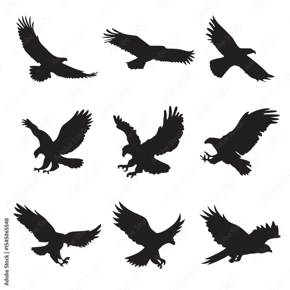 Fototapeta premium Majestic Bald Eagle in Flying