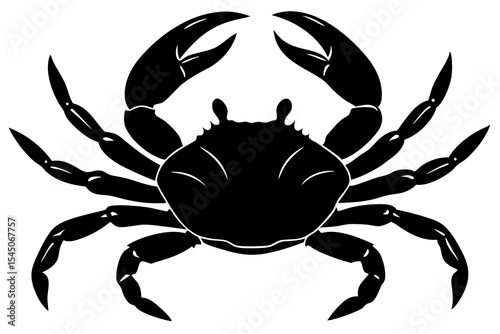 crab isolated on white background