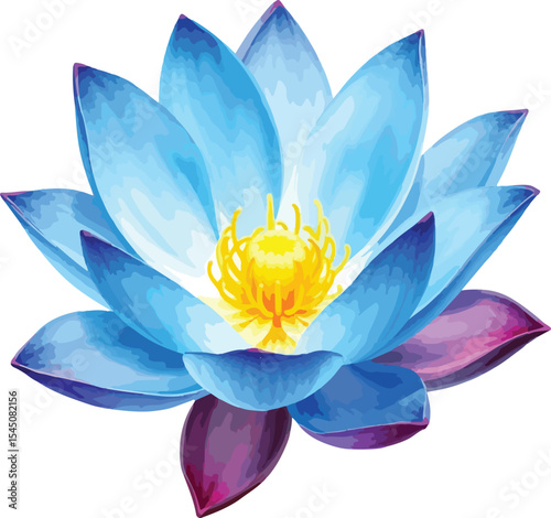 beautiful Watercolor blue lotus flower on vector illustration on white background