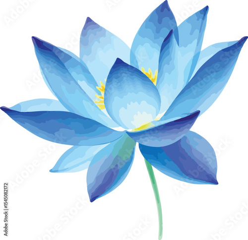 beautiful Watercolor blue lotus flower on vector illustration on white background