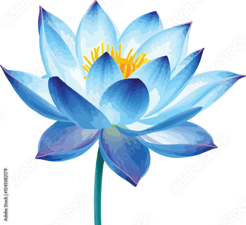 beautiful Watercolor blue lotus flower on vector illustration on white background