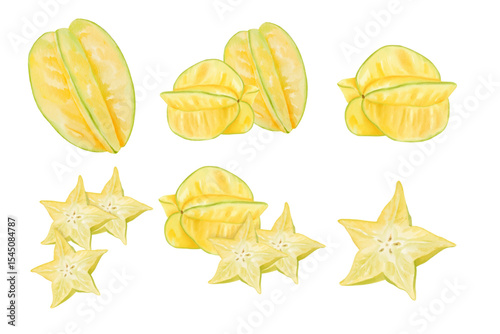 watercolor illustration of  Star Fruit