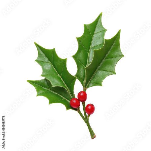 Three red holly berries with sharp green leaves in realistic style on transparent background, symbol of Christmas and winter holiday decoration