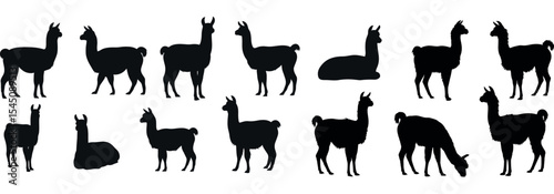 Collection of llama silhouettes on white background.