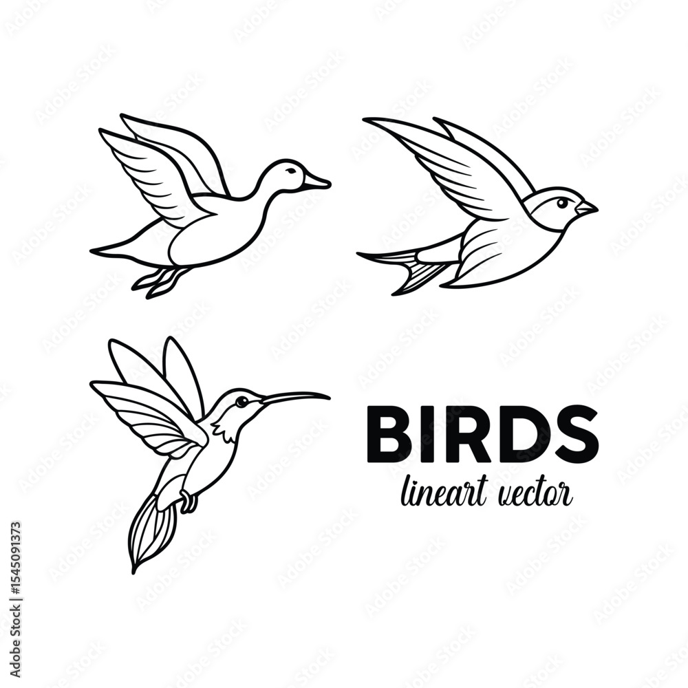 Obraz premium line art vector illustration of bird
