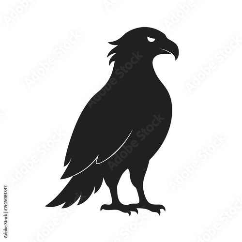 Profile View Eagle Soaring Bird Silhouette