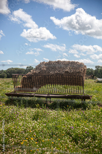 Cattle hay feeder on a rural farm, used to efficiently provide hay to cows. Agricultural equipment in a pasture setting, symbolizing livestock care and farming tools.