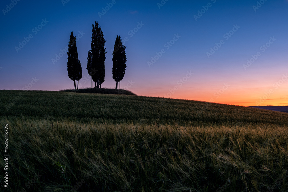 Obraz premium Alba sulle colline toscane