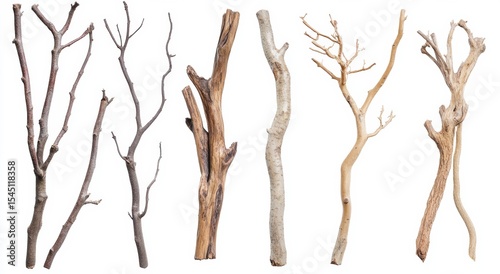 Wallpaper Mural tree branches isolated on white Torontodigital.ca