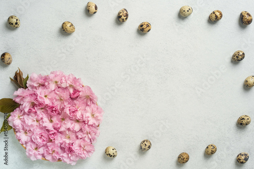 Pink cherry blossoms and quail eggs on white background in minimalist arrangement