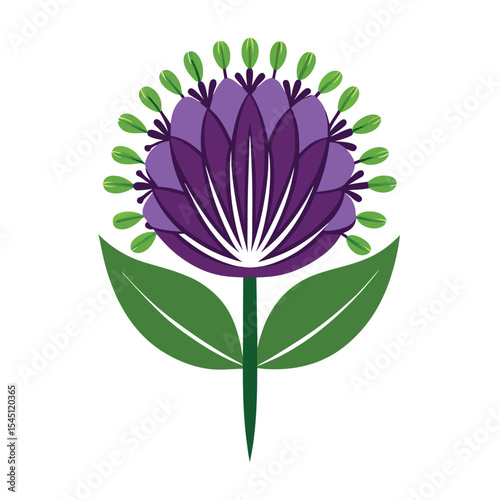Allium christophii flower vector art