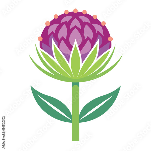 Allium globemaster flower