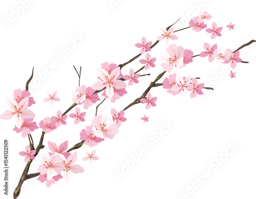 pink cherry blossom isolated, Floral seamless pattern. Vector. Seamless texture with flowers. Endless floral pattern. Abstract Elegance Seamless pattern with floral background.